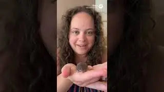 3gram Shrew