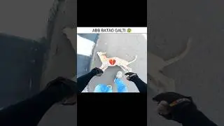 𝗣𝗿𝗮𝘆 𝗙𝗼𝗿 𝗗𝗼𝗴 🐶😰💥 𝗠𝗼𝘁𝗼𝘃𝗹𝗼𝗴𝘀 #shorts #cow #motovlog