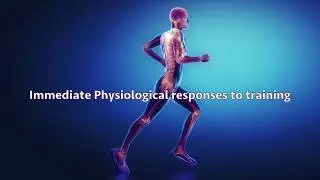 Immediate Physiological Responses to Training