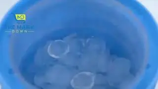 Icegloo The World's Most Amazing Ice Maker   MP4 2