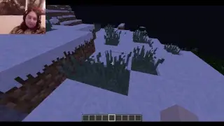 Wizard101 and possibly MC but also talking about ideas and requests for the channel and other things