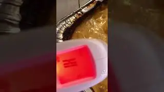 Oh no potatoes got covid🥲