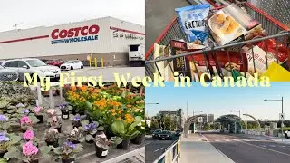 My First Week in Toronto CANADA | Ikea, grocery shopping & more 🛒  | International Student