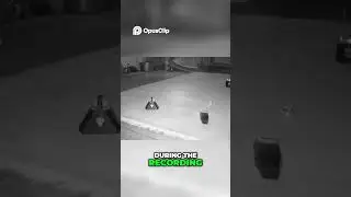 Barber House Ghost Child Screaming for Help #paranormalactivity #haunted
