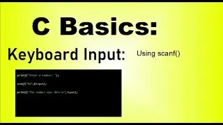 C Basics for Beginners: Keyboard Input using scanf