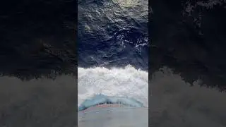 Life at sea