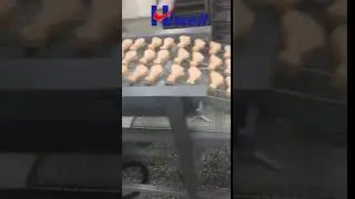 Hiwell--drumstick shape chicken nuggets