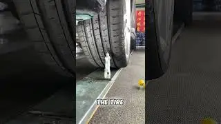 Unbreakable Grip: The World's Safest Tire 😮