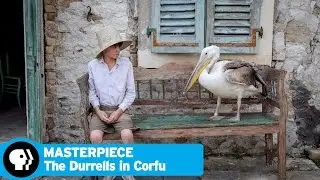 THE DURRELLS IN CORFU on MASTERPIECE | Official Trailer | PBS