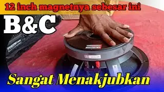 Review Speaker B&C 12 inch voice coil 4 inch sangat menakjubkan
