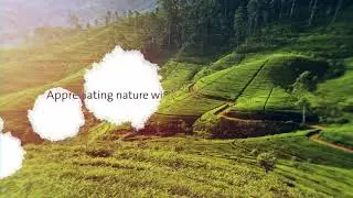 Krones Izumi: appreciating nature