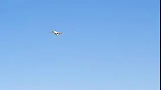 DSCN1350