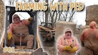 Rack 'Em  and Stack 'Em: Final Day of Hauling Cornstalk Bales | Farming with Ped