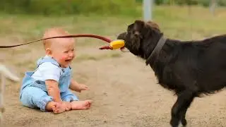 Cute baby laughing and palying with Pets