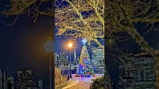 NYC Magical Christmas Moments 2025 🎄✨ #holiday #festive #short