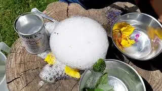 Go Wild at Home : Making a magic potion