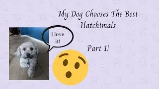 My Dog Chooses The Best Hatchimals Part 1! | CoolPineappleKate