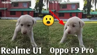 Realme U1 vs Oppo F9 Pro Camera Test Comparison | Realme U1 Camera | Oppo F9 Pro Camera