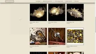 New Evolution Store Website