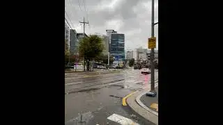 Random morning in Seoul #korea #seoul #rain