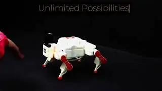 Pilot Project Scale Down Low Cost