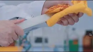 Static electricity O Level Physics