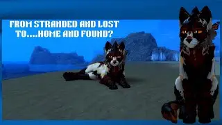 BRUSSEL'STAR'S lonely ORIGIN story| Warrior Cats: Ultimate Edition