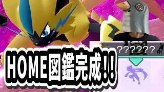 【ゼラオラ】ポケモンHOME図鑑 最後の1匹で完成！レジェンズZA＃メガ進化なし縛り【カップル実況】