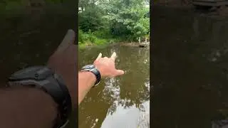 Quick update on our Vevor pond aerator.