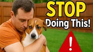 10 Things Dogs HATE About Humans
