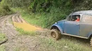 FUSCA 4x2 X TROLLER 4x4 😲😂😂 Trilha em Campo Magro-Pr