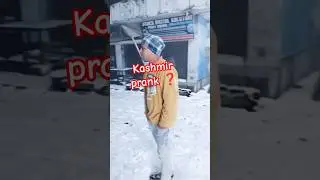 Kashmir prank 😻 #prank #fun #funny #day12 #shorts