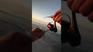 Beach fishing in Florida #fishing #florida #floridafishing #saltwaterfishing #fish #reyesfl #beach