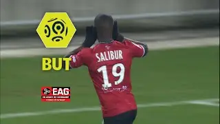 But Yannis SALIBUR (8') / RC Strasbourg Alsace - EA Guingamp (0-2)  / 2017-18