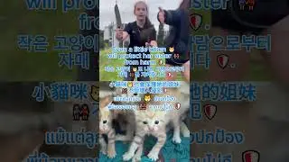Braveheart in real life 🏴#axeandknifegirl #YoungQueenOfScots #Kitten  #CatLover #貓咪 #แมว #고양이