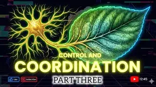 Control and Coordination | Part THREE | NCERT | CLASS 10