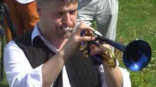 Jazz With Beard / 