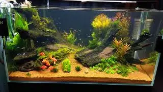 VID 20210325 191744