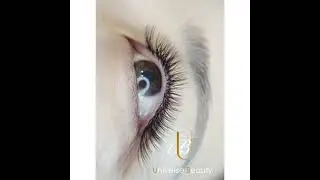 ✨Light volume Hybrid Eyelashes with YY Lash Extensions [UBL Lash Supplies]