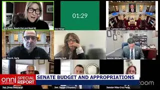 Senate Budget and Appropriations