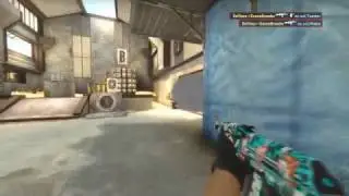 GooseBreeder Ace | ESEA Cache Match