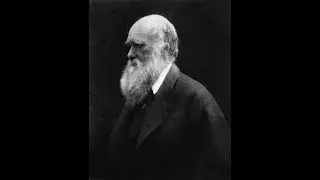 A Primer on the Evolutionary Behavioral Sciences (THE SAAD TRUTH_467)