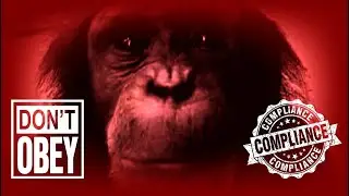Snog - Compliance&trade;