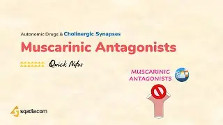 Autonomic Drugs and Cholinergic Synapses | Muscarinic Antagonists