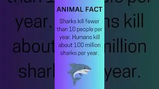 Sharks: Misunderstood predators facing a human-driven threat #funfacts #shorts