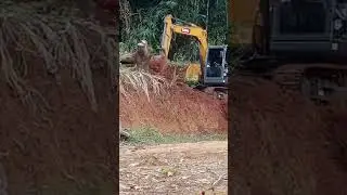 Excavator loading tanah to mobil truk jungkit muat urugan#atschanel #short #excavator #dumptruk