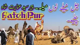 Mela Inayat Shah|Camel Dance|Fateh Pur Mela|Wali Ahad Rider|#cameldance #layyah