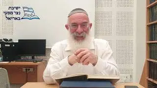 |מאמרי הראיה| ההזרמה הבלתי נורמלית| הרב אברהם שילר|