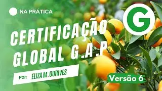 GLOBAL G.A.P VERS&Atilde;O 6 - AULA 01 FV 01