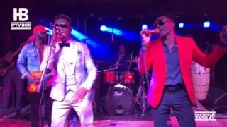 GABEL LIVE 